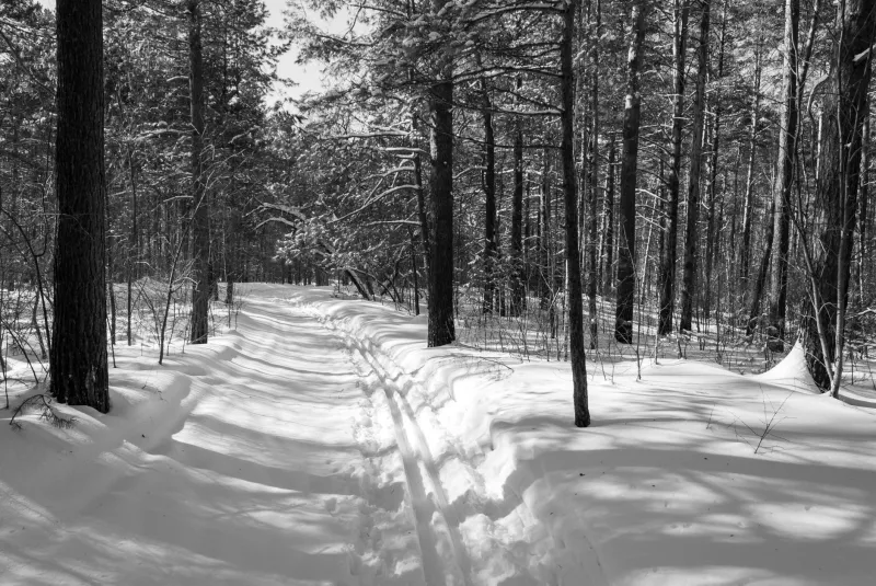 Leave the Trail Lit: How Smart Packs Document the Path So the Next Crew Doesn't Hunt Blind