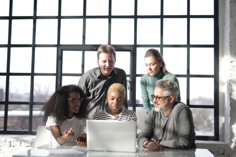 Pack or Trap? The Double-Edged Nature of Tight-Knit Work Teams