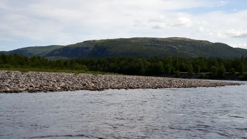 Swim or Stay: Knowing When Your Pack Has Outgrown the Only River It's Ever Known